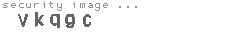 security image