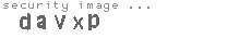 security image
