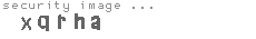 security image
