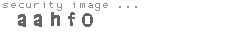security image