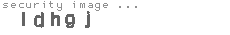 security image