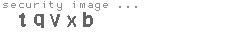 security image
