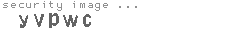 security image