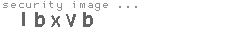 security image