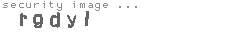 security image