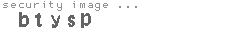 security image