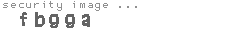 security image