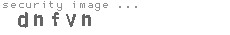 security image