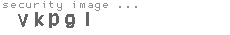 security image