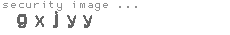 security image