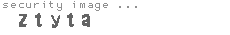 security image