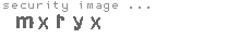 security image