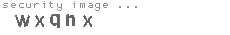 security image