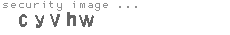 security image