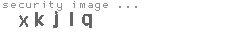 security image