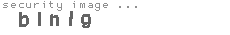 security image