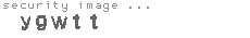 security image