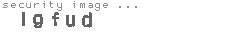security image