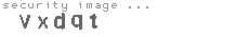 security image