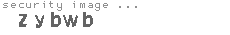 security image