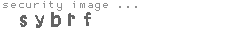 security image