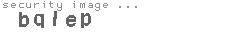 security image