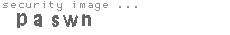 security image