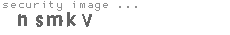 security image