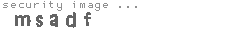 security image