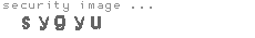 security image