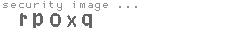 security image