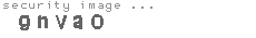 security image