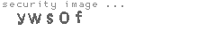 security image