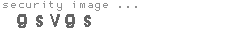 security image