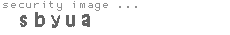 security image