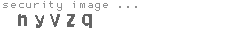 security image