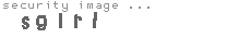 security image