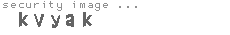 security image