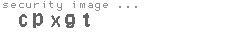 security image
