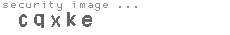 security image
