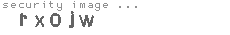 security image