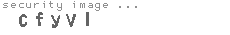 security image