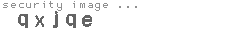 security image