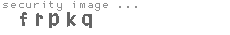 security image