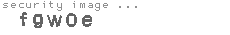 security image