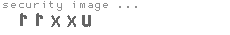 security image