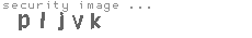 security image