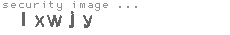 security image