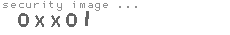 security image