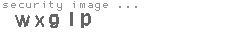 security image